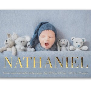 baby shower/birth announcement