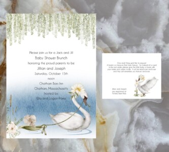 baby shower/birth announcement