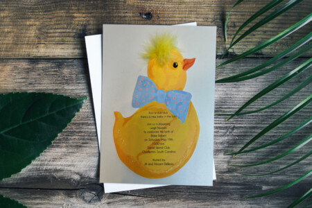 baby shower/birth announcement