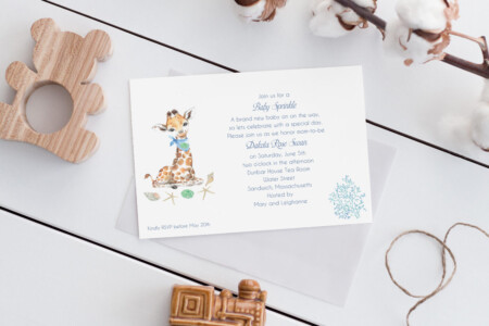 baby shower/birth announcement