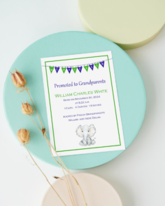 baby shower/birth announcement
