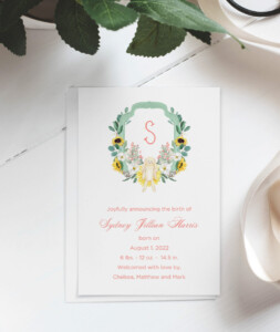 baby shower/birth announcement