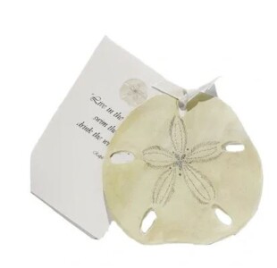 Lady Slipper Stationery